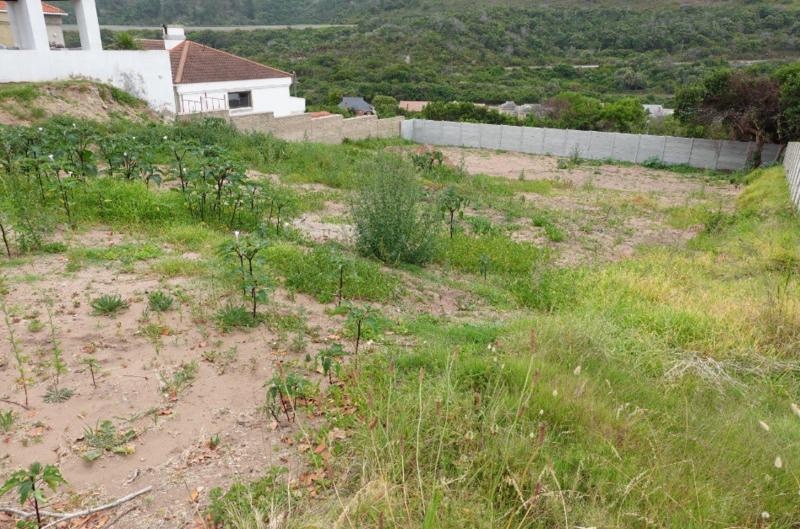 0 Bedroom Property for Sale in Hersham Western Cape